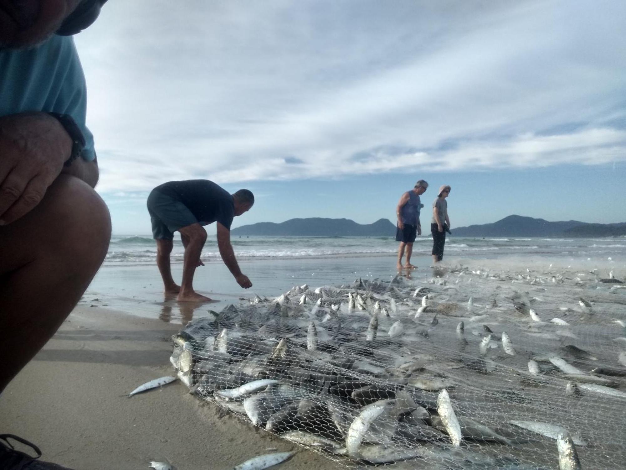 Pousada Mar&Sol Comfort Florianópolis Eksteriør bilde